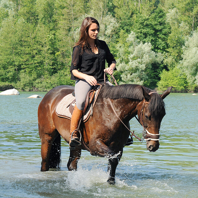 Promenade à cheval : activités autour du Domaine L’Écrin Vert – Camping dans la vallée du Tarn
