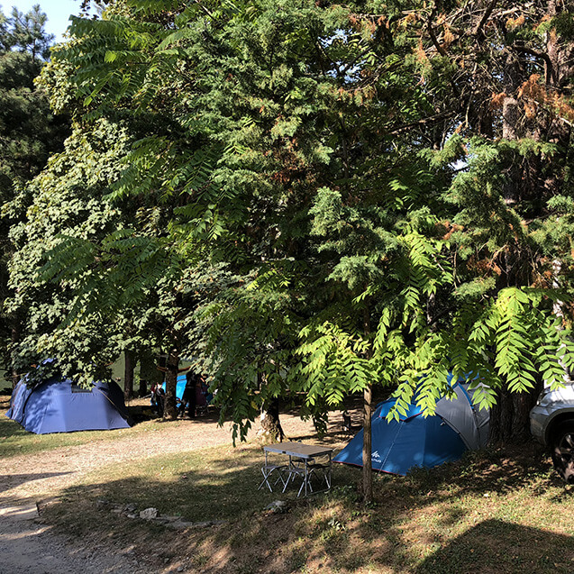 Emplacements de camping en Aveyron spacieux et arborés pour tente, au Domaine L’Écrin Vert