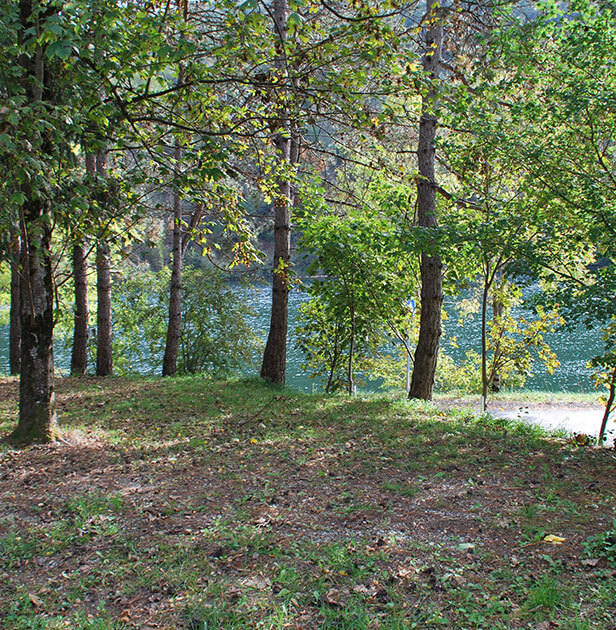 Pitch on a wooded site at the Écrin Vert family campsite in Aveyron