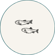 Icone pêche en rivière