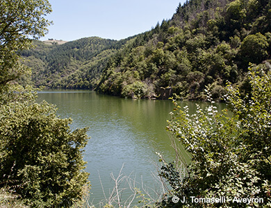 Pêche aux Raspes du Tarn